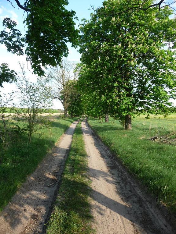 Gospodarstwo Agroturystyczne Leśniczówka Lubin  Exterior foto